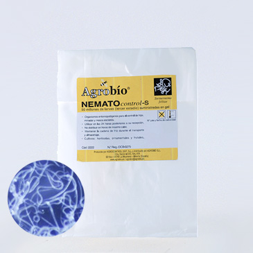 Heterorhabditis bacteriophora - 250 Millions