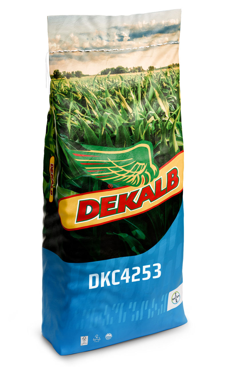 DKC 4253